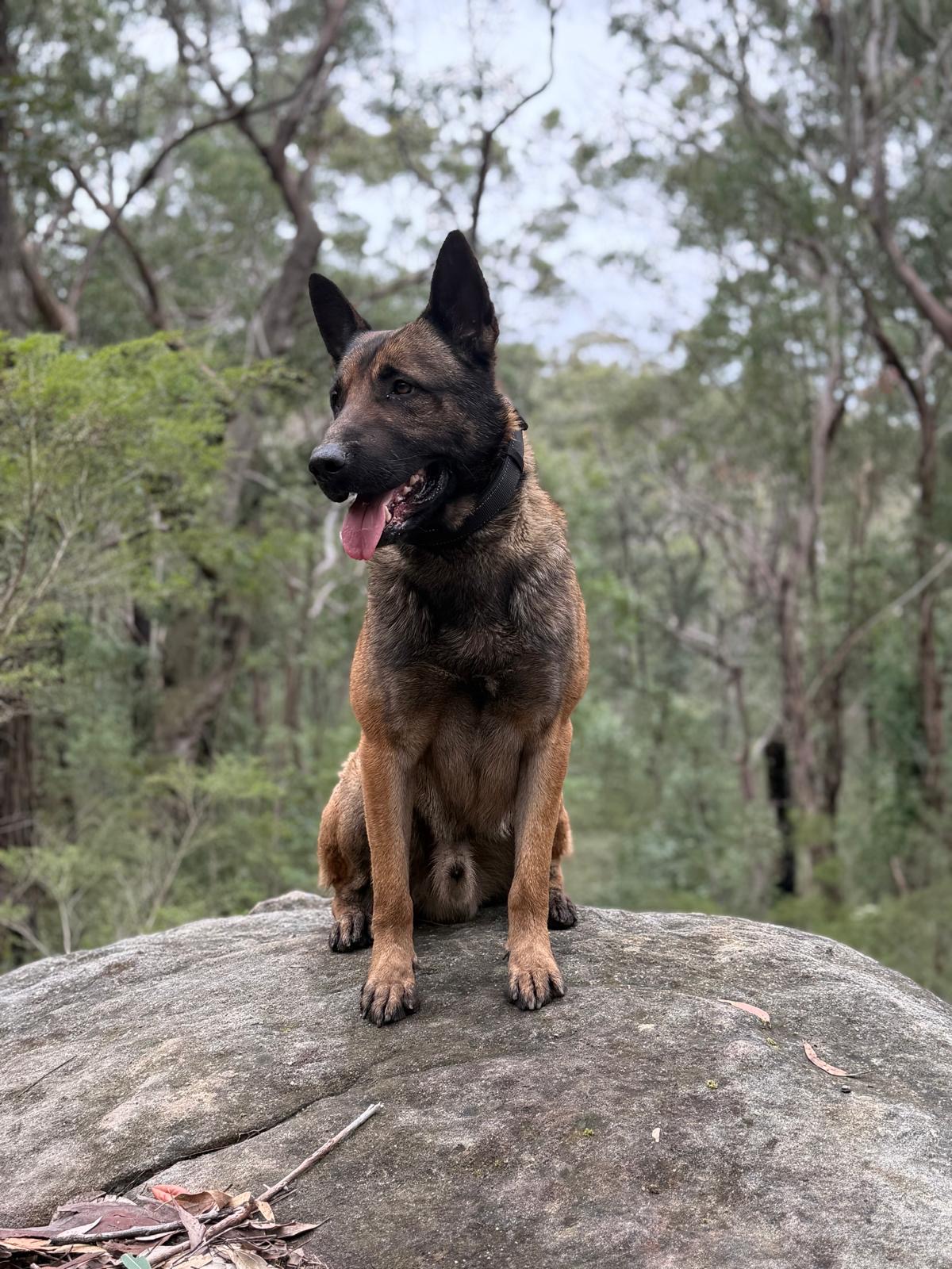 Unit K-3 'Onyx'